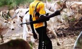 Armed Herdsmen Brutalise Farmers In Kwara Community, Plot To Take Over Land, Police Arrest One Suspect