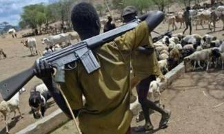 At Least Four Killed, Many Others Injured As Herdsmen Attack Enugu Community