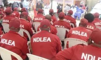 Officers Of Nigerian Anti-Narcotics Agency, NDLEA Kick Against Lopsided Promotion